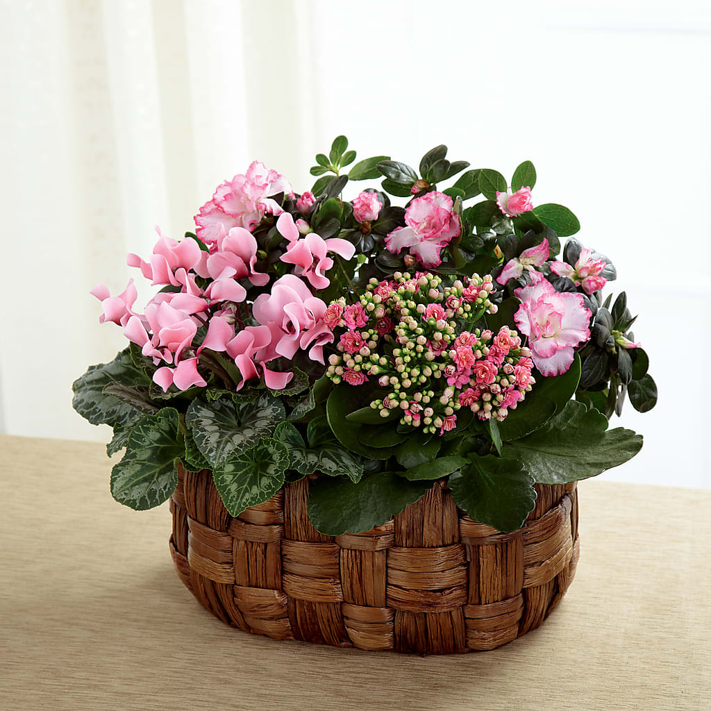 Pink Assortment – Le Fleur Llc, Pelham AL