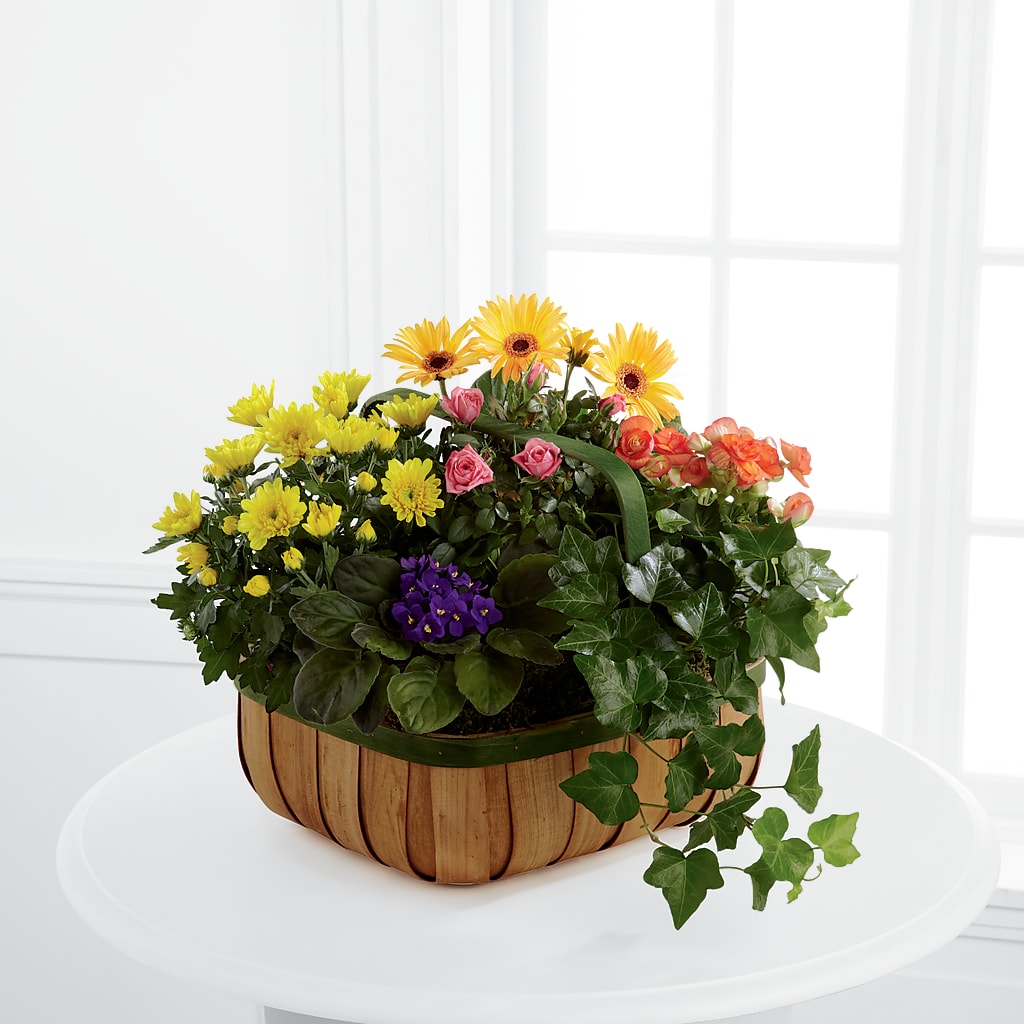 Gentle Blossoms Basket – Le Fleur Llc, Pelham AL