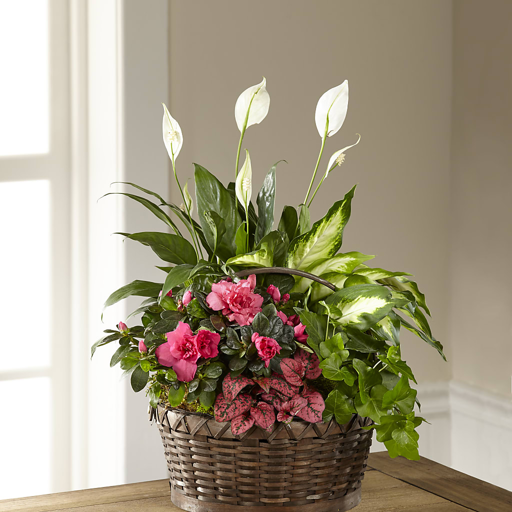 Dream in Pink Dishgarden – Le Fleur Llc, Pelham AL