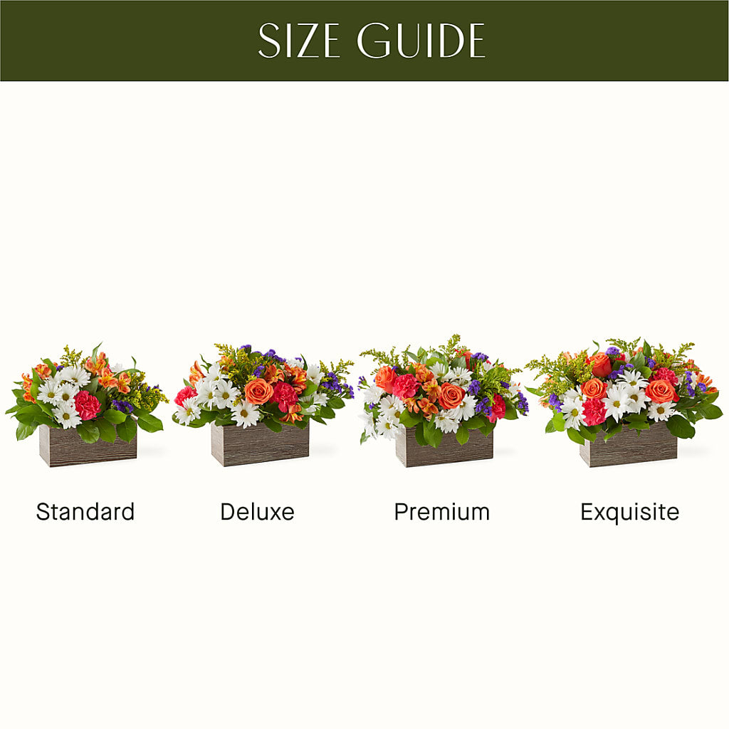 Oopsie Daisy Box Bouquet – Le Fleur Llc, Pelham AL