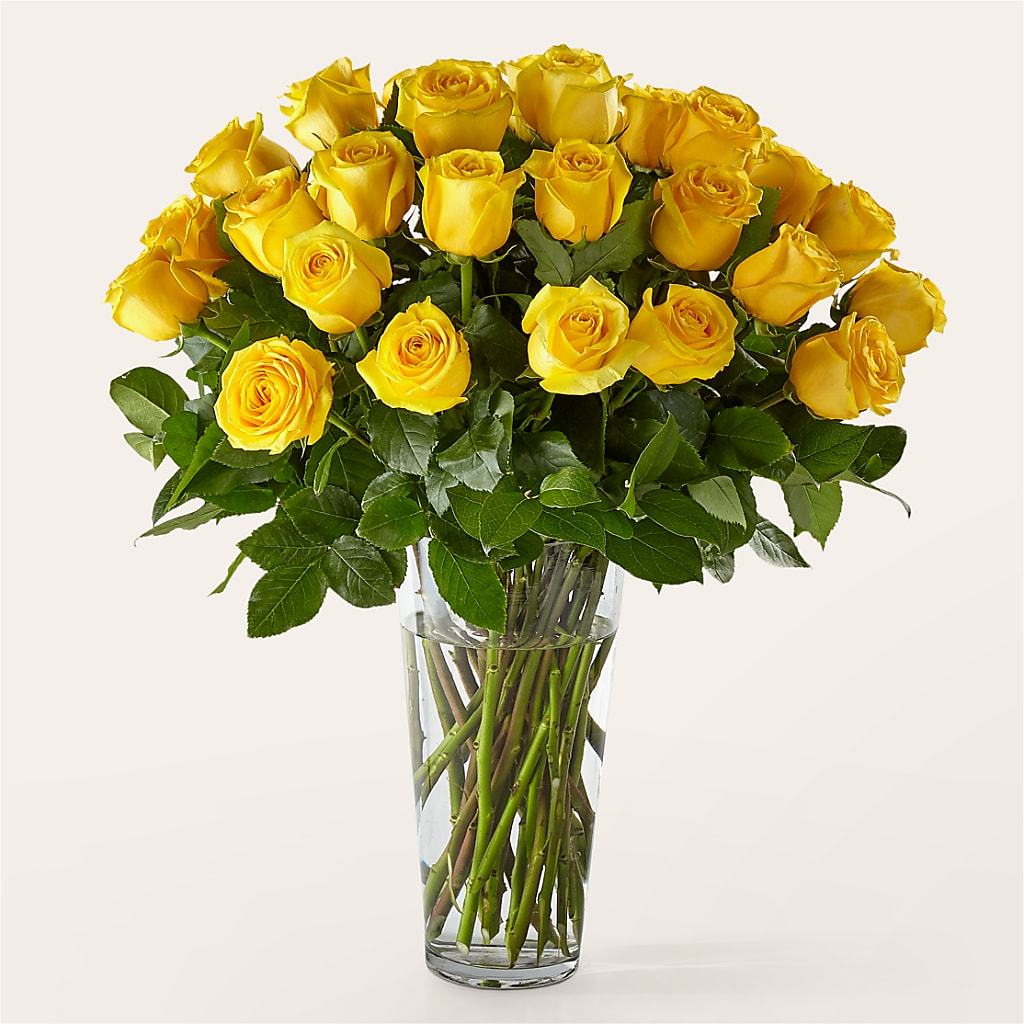 Long Stem Yellow Rose Bouquet – Le Fleur Llc, Pelham AL