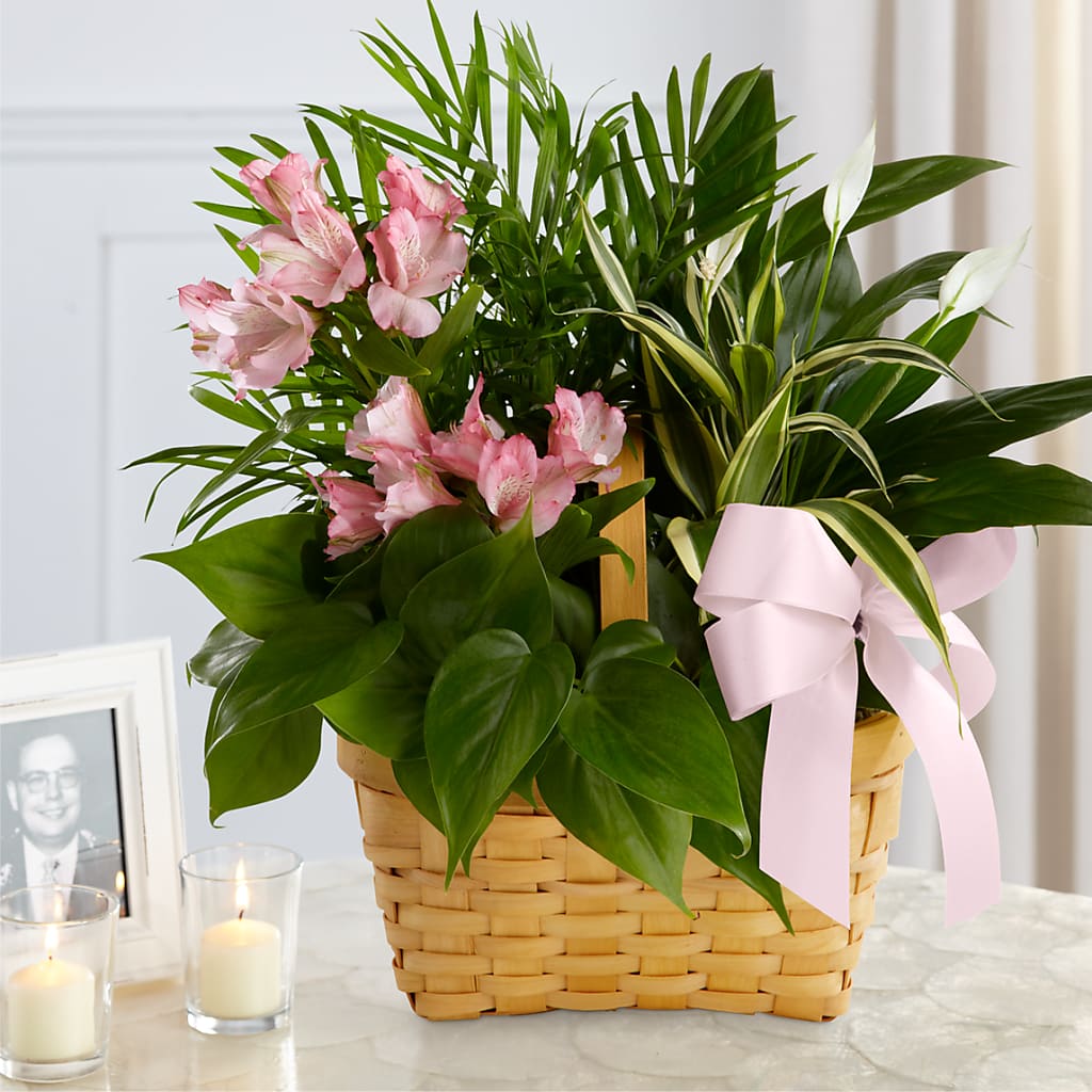 Living Spirit Dishgarden – Le Fleur Llc, Pelham AL
