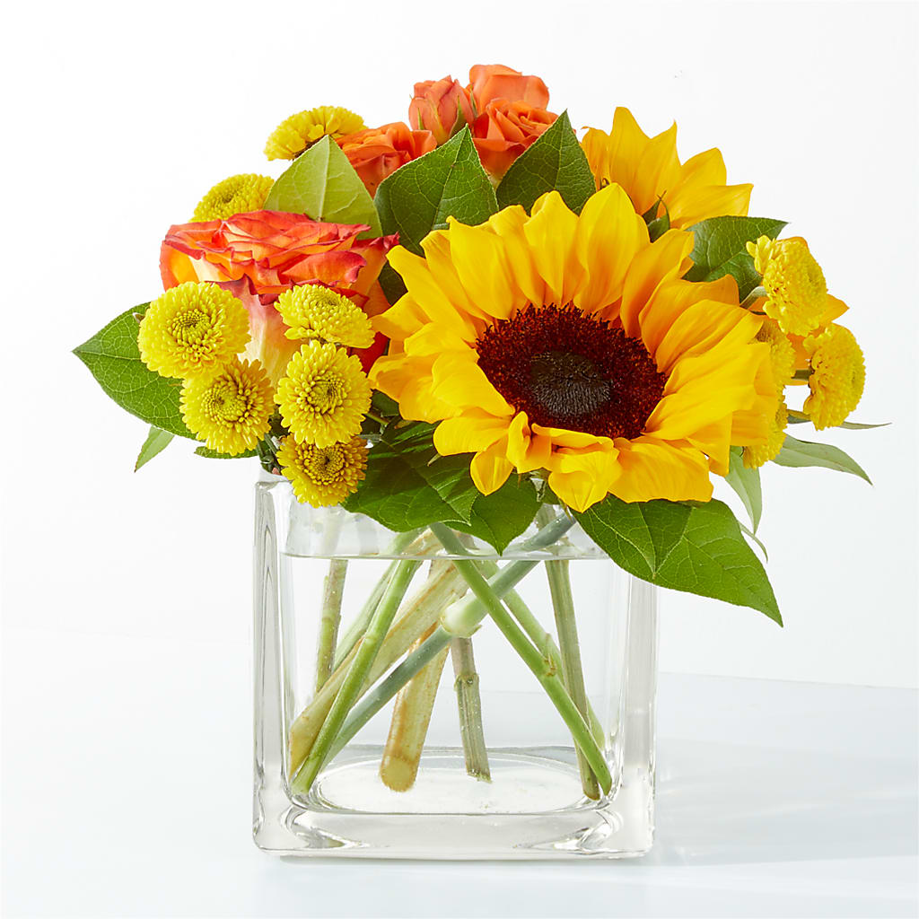 Picnic in the Park Bouquet – Le Fleur Llc, Pelham AL