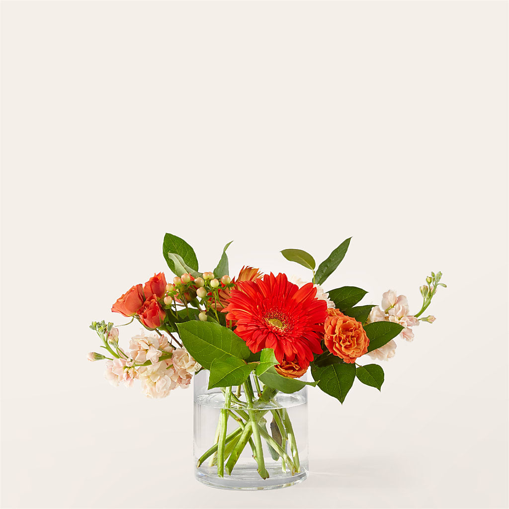 Paloma Please Bouquet – Le Fleur Llc, Pelham AL