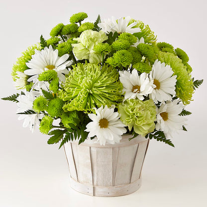 Lucky Charm Basket (Standard) –  Le Fleur Llc, Pelham AL