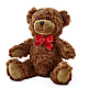 Adorable Plush Bear –  Le Fleur Llc, Pelham AL