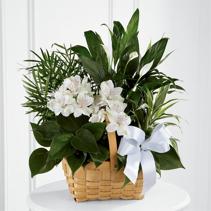 Peace & Serenity Dishgarden –  Le Fleur Llc, Pelham AL