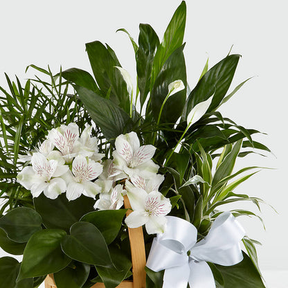 Peace & Serenity Dishgarden –  Le Fleur Llc, Pelham AL