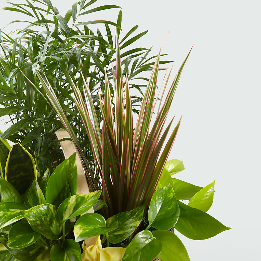 French Garden –  Le Fleur Llc, Pelham AL