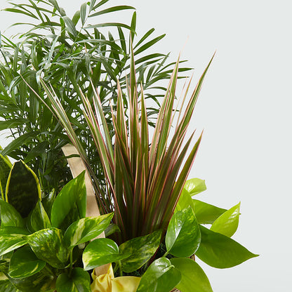 French Garden –  Le Fleur Llc, Pelham AL