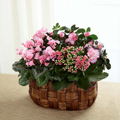 Pink Assortment –  Le Fleur Llc, Pelham AL