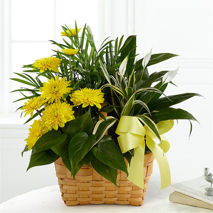Loving Light Dishgarden –  Le Fleur Llc, Pelham AL
