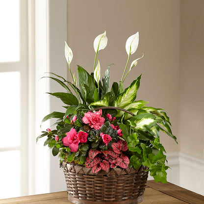 Dream in Pink Dishgarden –  Le Fleur Llc, Pelham AL
