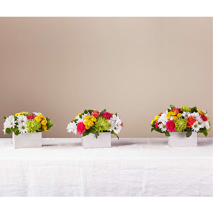 Sorbet Bouquet –  Le Fleur Llc, Pelham AL