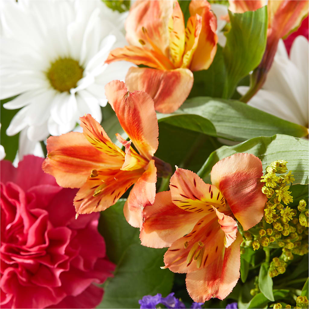 Oopsie Daisy Box Bouquet –  Le Fleur Llc, Pelham AL