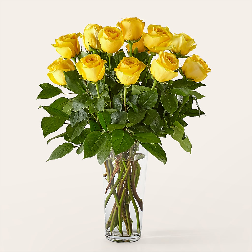 Long Stem Yellow Rose Bouquet –  Le Fleur Llc, Pelham AL