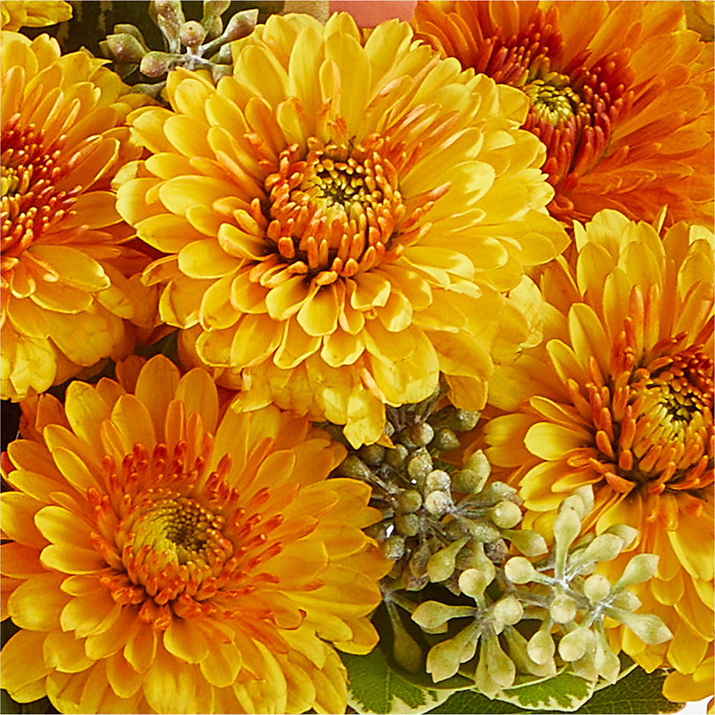 Peachy Pumpkin –  Le Fleur Llc, Pelham AL