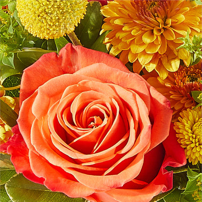 Gourdgeous Pumpkin –  Le Fleur Llc, Pelham AL