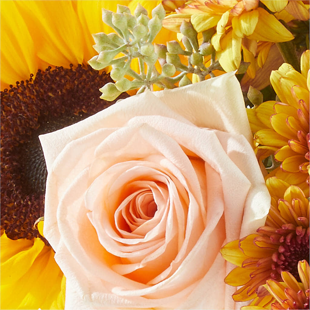 Pumpkin to Talk About Bouquet –  Le Fleur Llc, Pelham AL