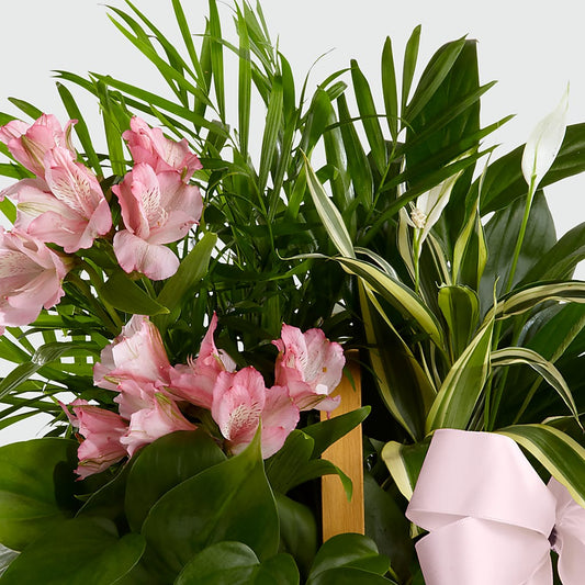 Living Spirit Dishgarden –  Le Fleur Llc, Pelham AL