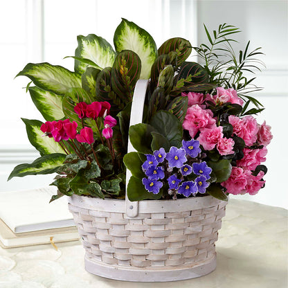 Peaceful Garden Planter –  Le Fleur Llc, Pelham AL