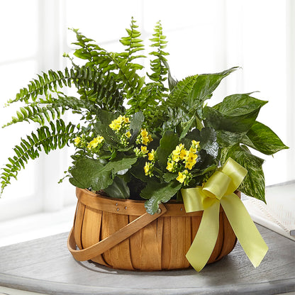 Always Dear Dishgarden –  Le Fleur Llc, Pelham AL
