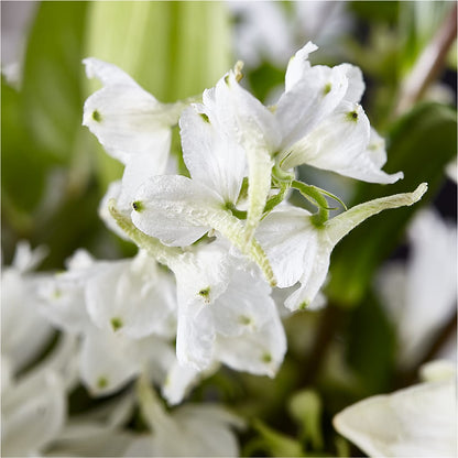 Classic Ivory – A Florist Original –  Le Fleur Llc, Pelham AL