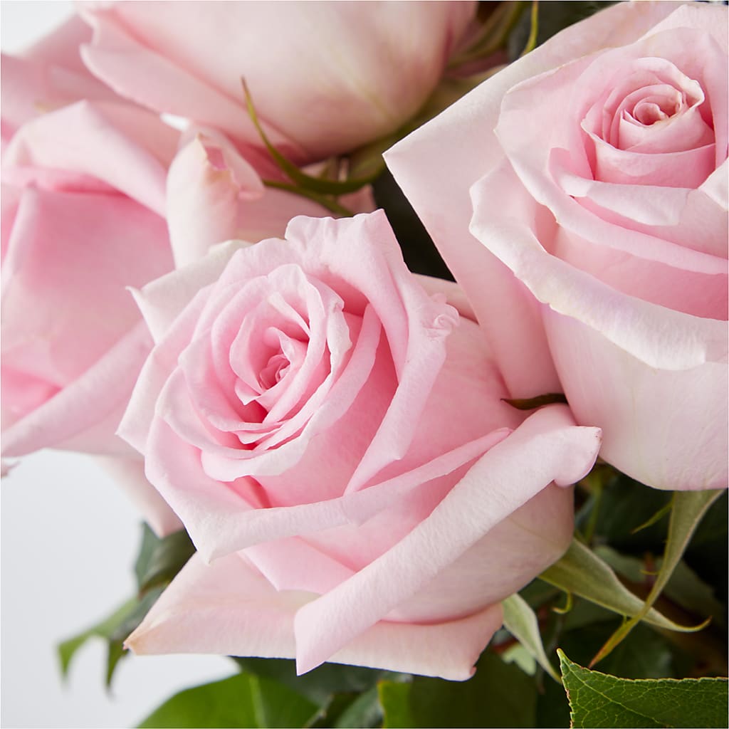 Picture Perfect Pink Rose Bouquet –  Le Fleur Llc, Pelham AL