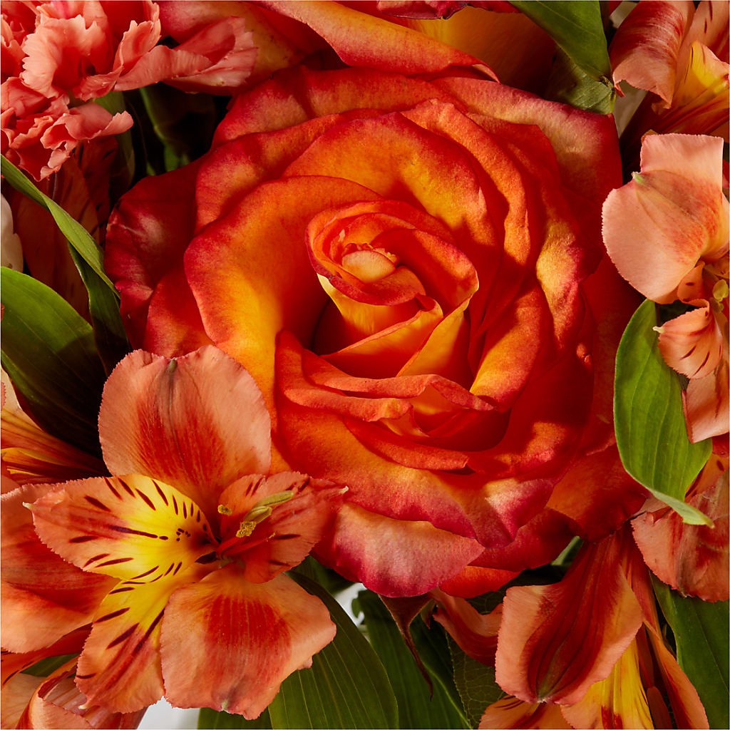 Apricot Glow Bouquet –  Le Fleur Llc, Pelham AL