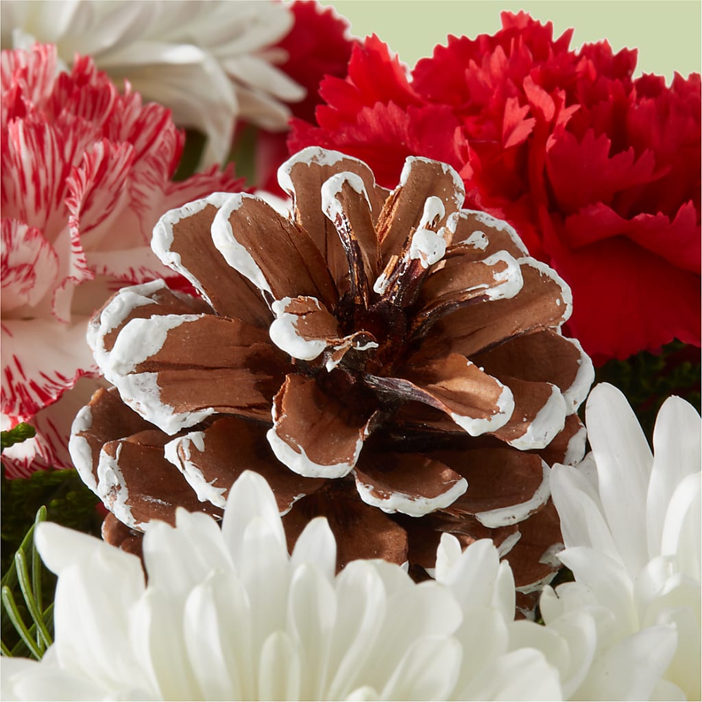 Candy Cane Lane Bouquet –  Le Fleur Llc, Pelham AL
