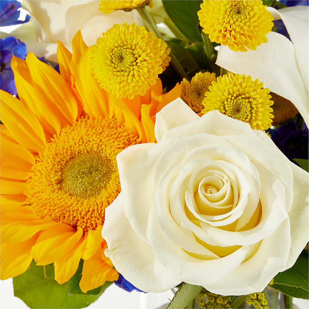 Stargazing Bouquet –  Le Fleur Llc, Pelham AL