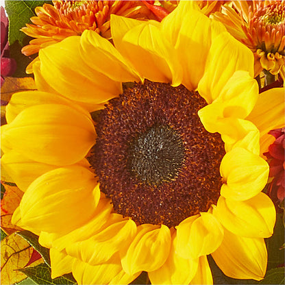 Sunny Side Bouquet –  Le Fleur Llc, Pelham AL