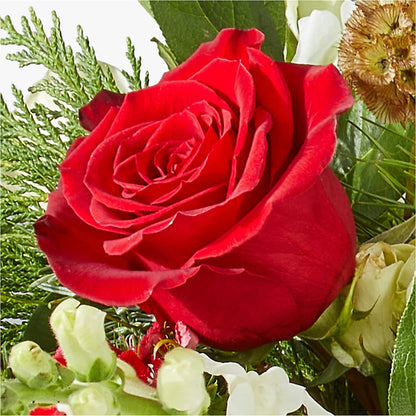 Deck the Halls Bouquet –  Le Fleur Llc, Pelham AL