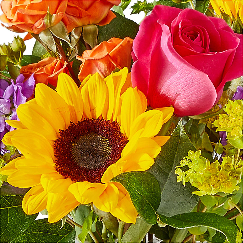 Vibrant Greetings Bouquet –  Le Fleur Llc, Pelham AL