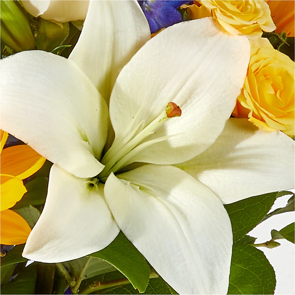 Wonderfully Sunny Bouquet –  Le Fleur Llc, Pelham AL