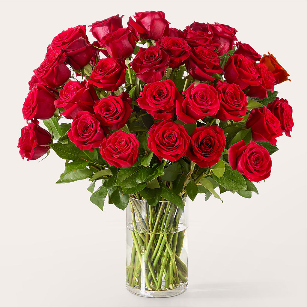The One Red Rose Bouquet –  Le Fleur Llc, Pelham AL