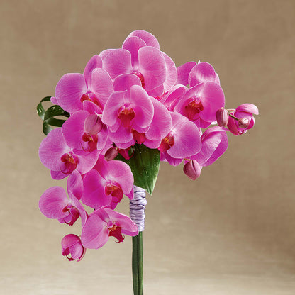 Glorious Bouquet –  Le Fleur Llc, Pelham AL