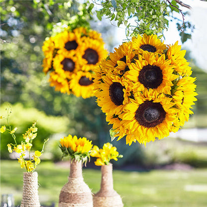 Sublime Garden Hanging Arrangement –  Le Fleur Llc, Pelham AL