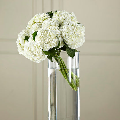 White Hydrangea Hand-Tied Bouquet –  Le Fleur Llc, Pelham AL