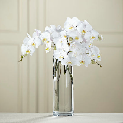 White Phalaenopsis Bouquet –  Le Fleur Llc, Pelham AL